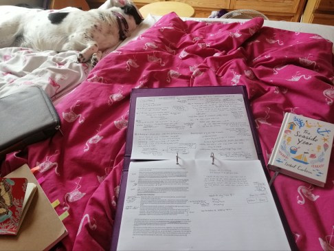 photo description: folder of printed notes covered in handwritten ideas which is on a duvet with a sleeping stretched out dog.